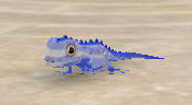 bluegecko.png