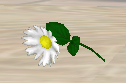 1756397281623.png