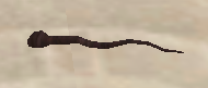 1756397618289.png