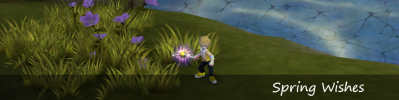 Spnwis.png